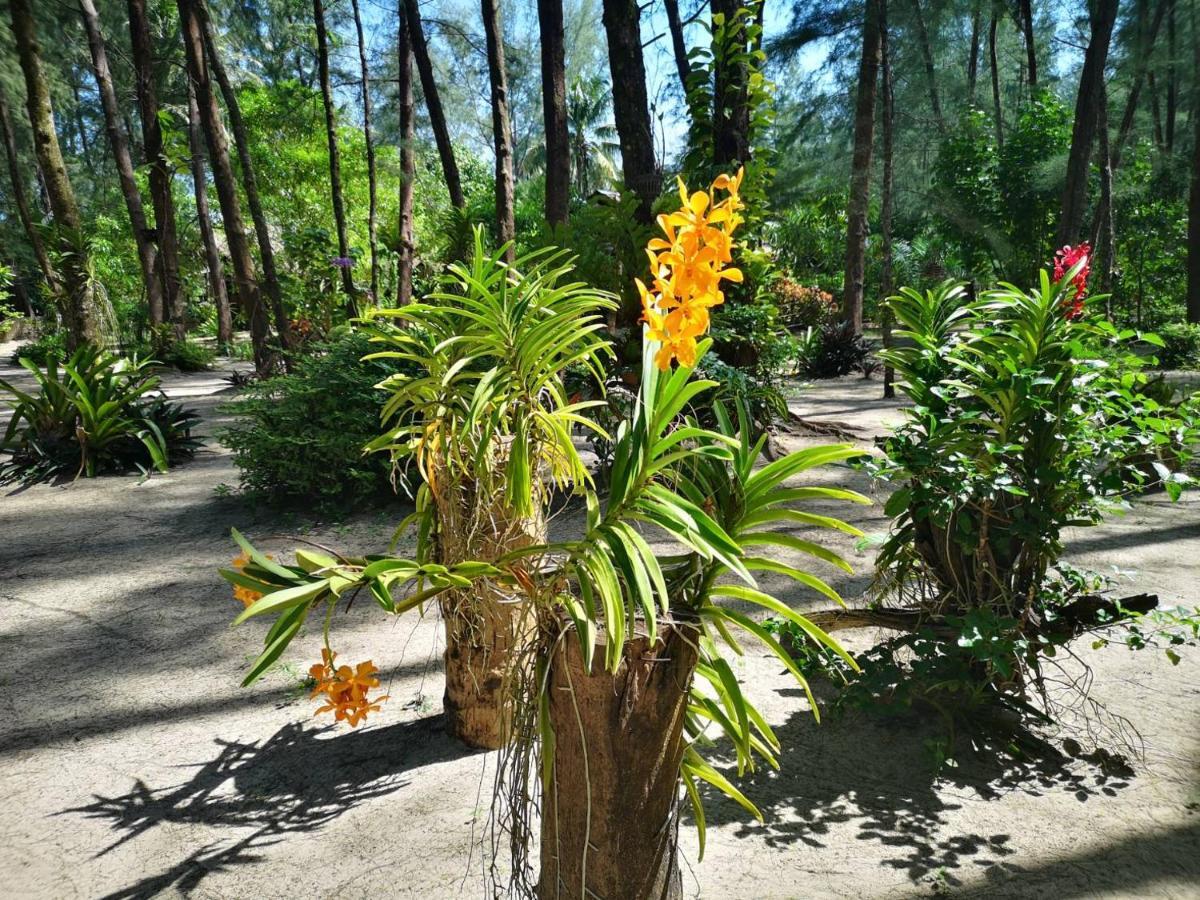 Hapla Beach Cottage Koh Kho Khao Island Exterior foto